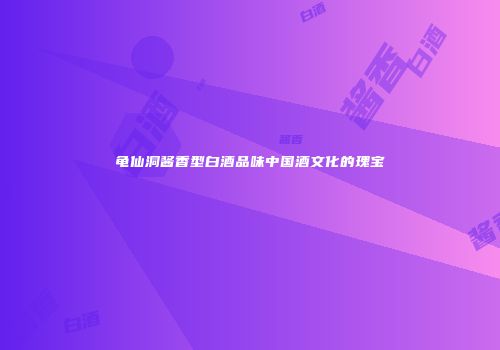 龟仙洞酱香型白酒品味中国酒文化的瑰宝