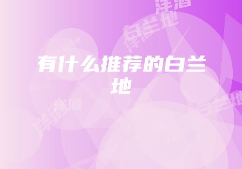 有什么推荐的白兰地