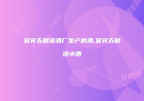 宜宾五粮液酒厂生产的酒,宜宾五粮液小酒