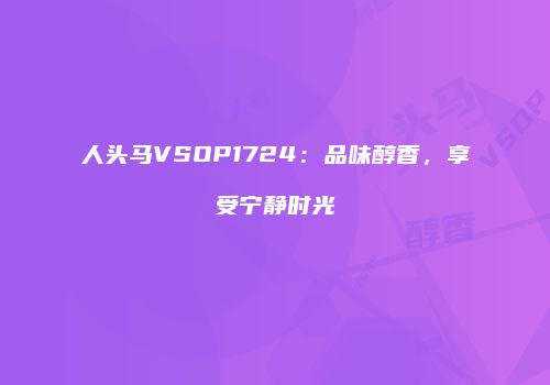 人头马VSOP1724：品味醇香，享受宁静时光