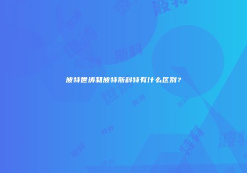 波特世涛和波特斯科特有什么区别？
