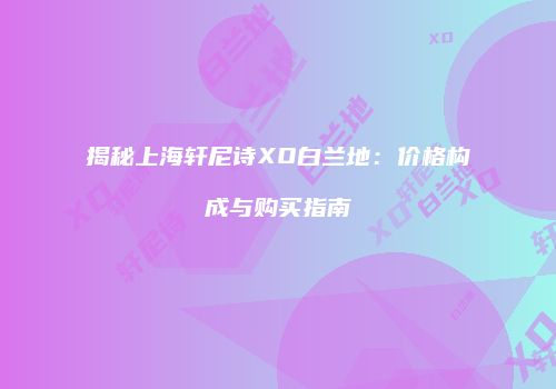 揭秘上海轩尼诗XO白兰地：价格构成与购买指南