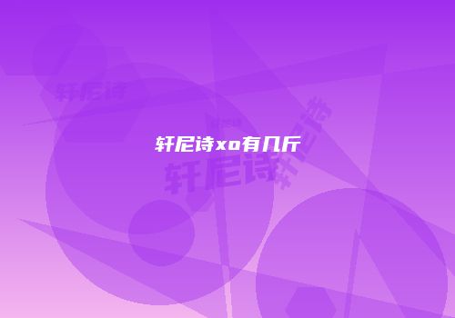 轩尼诗xo有几斤