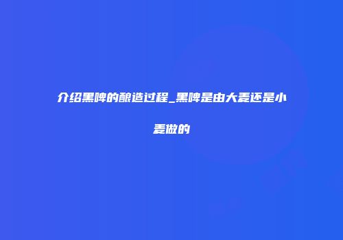 介绍黑啤的酿造过程_黑啤是由大麦还是小麦做的
