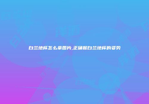 白兰地杯怎么拿图片,正确握白兰地杯的姿势