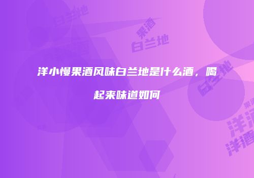 洋小慢果酒风味白兰地是什么酒，喝起来味道如何