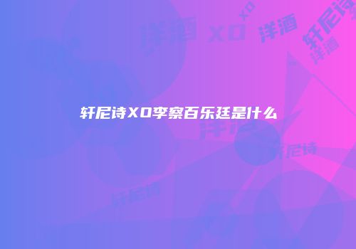 轩尼诗XO李察百乐廷是什么