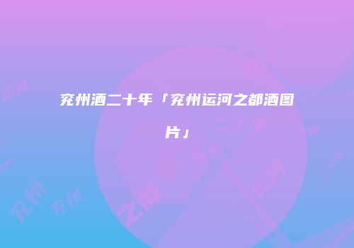 兖州酒二十年「兖州运河之都酒图片」