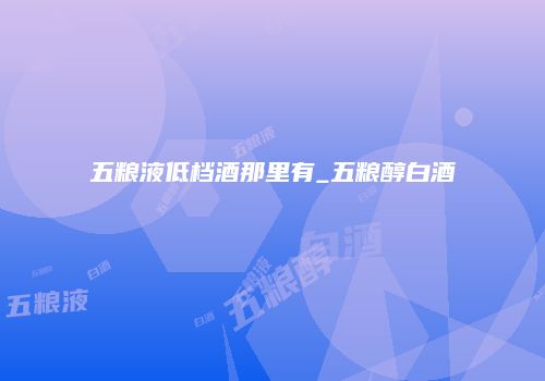 五粮液低档酒那里有_五粮醇白酒