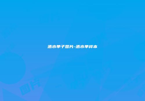 酒水单子图片-酒水单样本