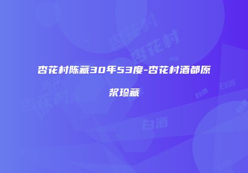 杏花村陈藏30年53度-杏花村酒都原浆珍藏