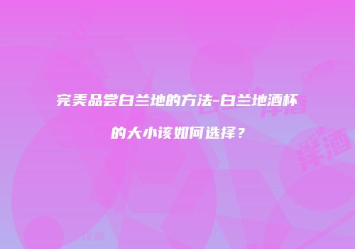 完美品尝白兰地的方法-白兰地酒杯的大小该如何选择？