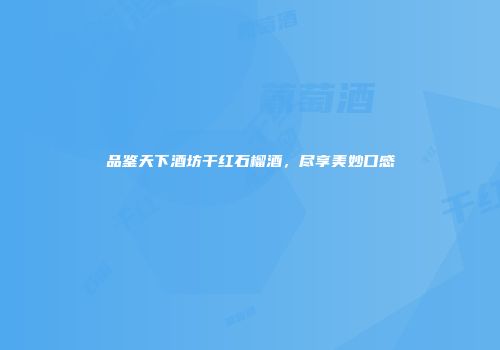 品鉴天下酒坊干红石榴酒，尽享美妙口感