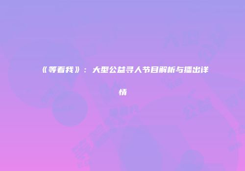 《等着我》：大型公益寻人节目解析与播出详情