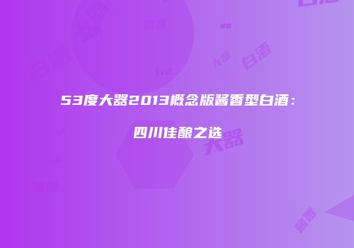 53度大器2013概念版酱香型白酒：四川佳酿之选