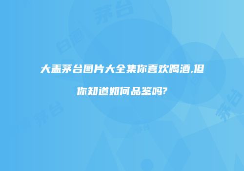 大盖茅台图片大全集你喜欢喝酒,但你知道如何品鉴吗?