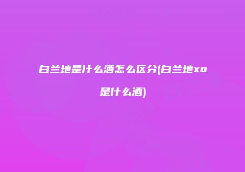 白兰地是什么酒怎么区分(白兰地xo是什么酒)