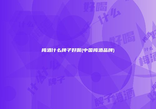 梅酒什么牌子好喝(中国梅酒品牌)