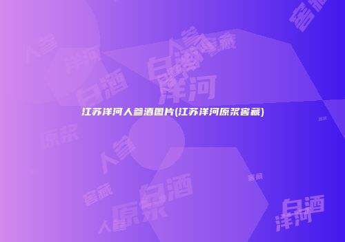 江苏洋河人参酒图片(江苏洋河原浆窖藏)