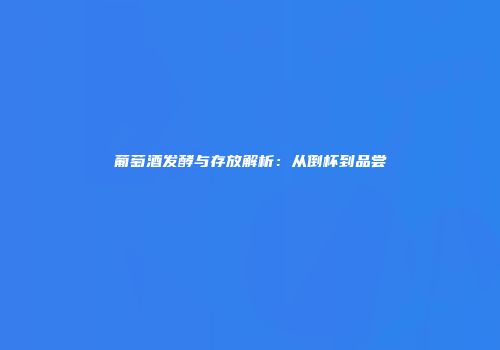 葡萄酒发酵与存放解析：从倒杯到品尝