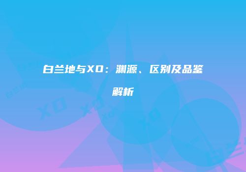 白兰地与XO：渊源、区别及品鉴解析
