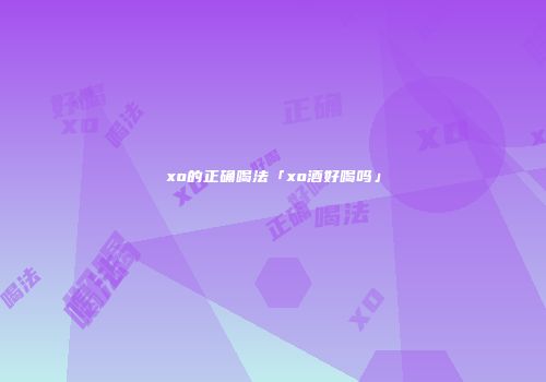 xo的正确喝法「xo酒好喝吗」