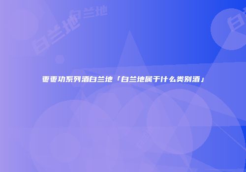 枣枣功系列酒白兰地「白兰地属于什么类别酒」