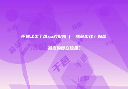 探秘法国干邑xo的价格（一瓶多少钱？你想知道的都在这里）
