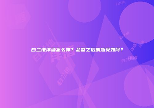 白兰地洋酒怎么样？品鉴之后的感受如何？