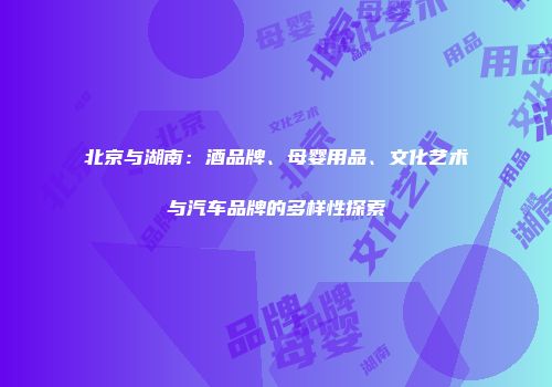 北京与湖南：酒品牌、母婴用品、文化艺术与汽车品牌的多样性探索