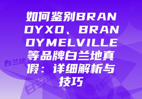 如何鉴别BRANDYXO、BRANDYMELVILLE等品牌白兰地真假：详细解析与技巧
