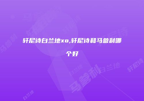 轩尼诗白兰地xo,轩尼诗和马爹利哪个好