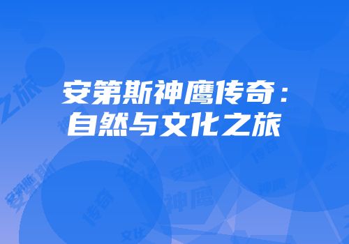安第斯神鹰传奇：自然与文化之旅