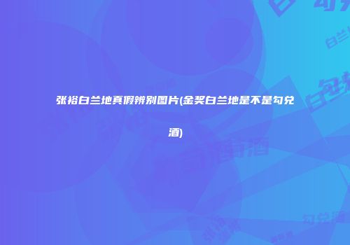 张裕白兰地真假辨别图片(金奖白兰地是不是勾兑酒)