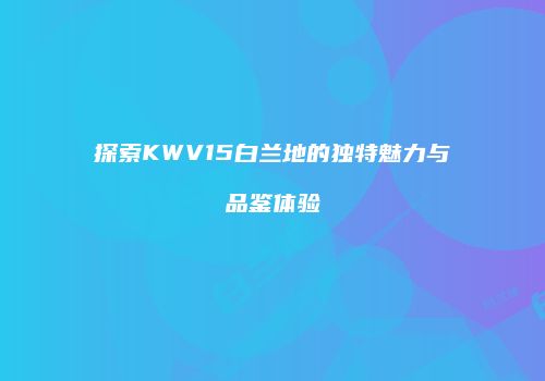探索KWV15白兰地的独特魅力与品鉴体验