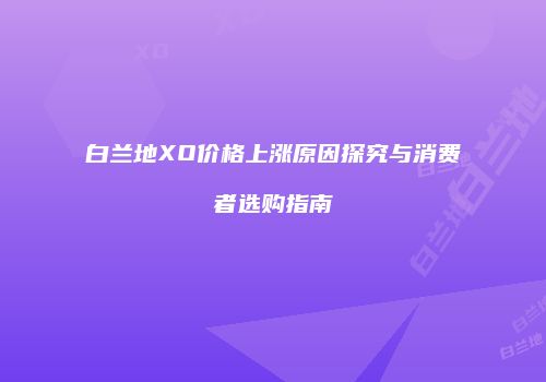 白兰地XO价格上涨原因探究与消费者选购指南