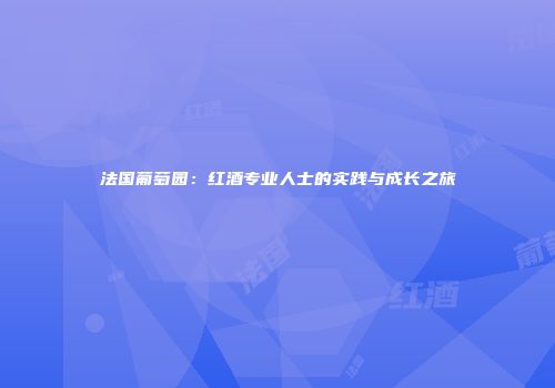 法国葡萄园：红酒专业人士的实践与成长之旅