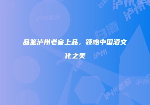品鉴泸州老窖上品，领略中国酒文化之美