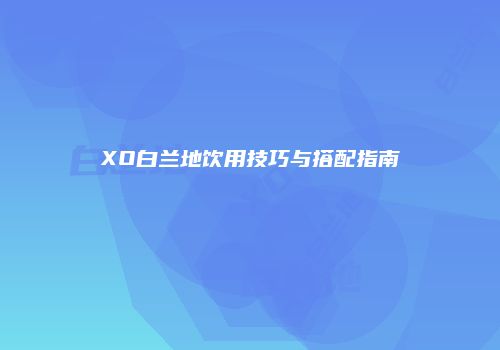 XO白兰地饮用技巧与搭配指南