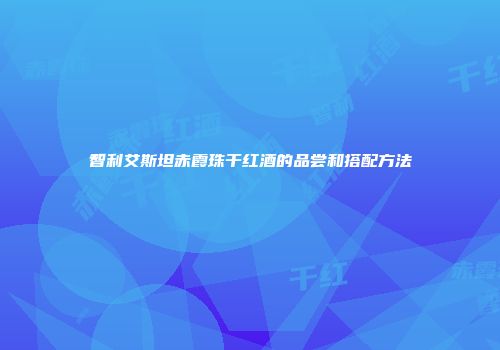 智利艾斯坦赤霞珠干红酒的品尝和搭配方法