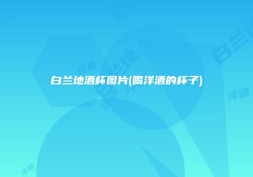 白兰地酒杯图片(喝洋酒的杯子)
