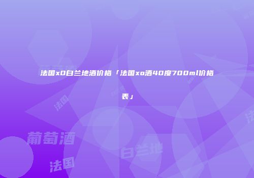 法国x0白兰地酒价格「法国xo酒40度700ml价格表」