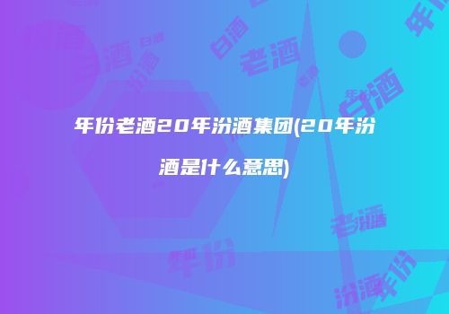 年份老酒20年汾酒集团(20年汾酒是什么意思)