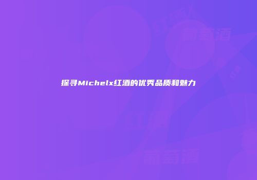 探寻Michelx红酒的优秀品质和魅力
