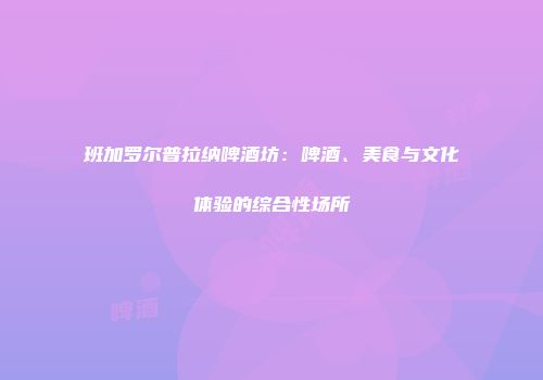 班加罗尔普拉纳啤酒坊：啤酒、美食与文化体验的综合性场所