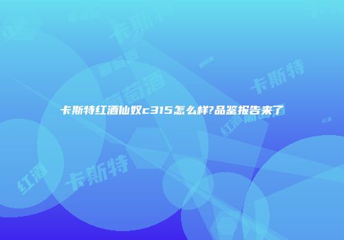 卡斯特红酒仙奴c315怎么样?品鉴报告来了