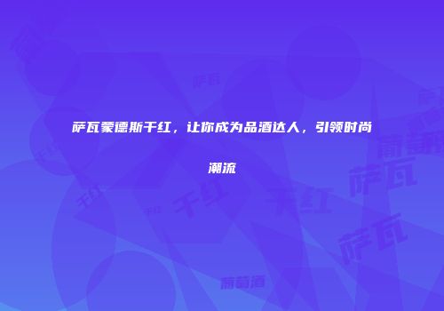 萨瓦蒙德斯干红，让你成为品酒达人，引领时尚潮流
