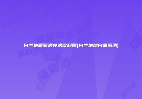 白兰地葡萄酒兑啥饮料喝(白兰地加白葡萄酒)
