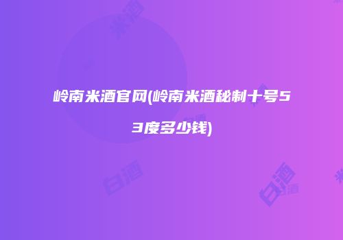 岭南米酒官网(岭南米酒秘制十号53度多少钱)