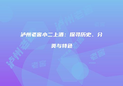 泸州老窖小二上酒：探寻历史、分类与特色